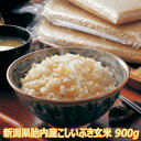 令和5年産 新米 新潟県 胎内産 こしいぶき玄米 900g（6合 12人前) 真空パック栽培期間中の化学農薬はほぼ不使用　農薬節減（7割減）送料無料 一等級