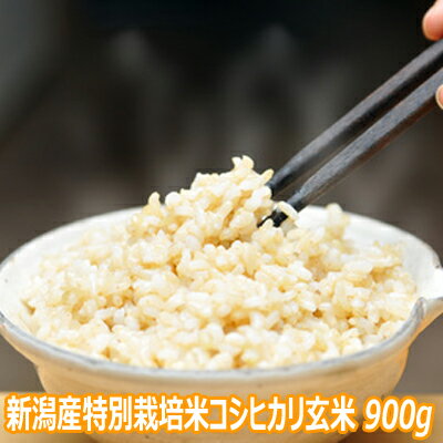 令和5年産　新潟産特別栽培米コシヒカリ 玄米 900g（6合 12人前) 【食味Sランク】ほぼ 無農薬栽培　送料無料 一等級 玄米 クリックポスト便発送 【新潟産/玄米】お試し