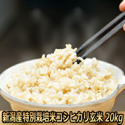 令和5年産 新潟県産特別栽培米コシヒカリ 玄米 20kg(10kg+10kg)食味Sランク 一等級 送料無料 （玄米　新潟産）農薬節減（7割減） 有機肥料栽培米・残留農薬ゼロ（検査済）