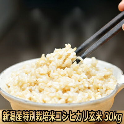 令和5年産 新潟産 特別栽培米 コシヒカリ 玄米...の商品画像