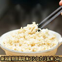 令和7年産 新潟産 特別栽培米 コシヒカリ 玄米 5kg【5kg玄米 送料無料】【食味評価Sランク】一等米 栽培期間中ほぼ 無農薬 農薬節減(7割減) 有機肥料栽培米・残留農薬ゼロ(検査済)5kgクラフト米袋で発送【放射能検査済】