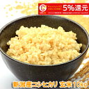 令和元年産 新潟産 コシヒカリ 玄米 10kg 送料無料　新米 ほぼ 無農薬栽培 【産地直送】新潟玄米 キャッシュレス・消費者還元事業　ご利用金額に対して5％ポイントUP