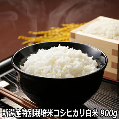 令和5年産 新潟産特別栽培米コシヒ