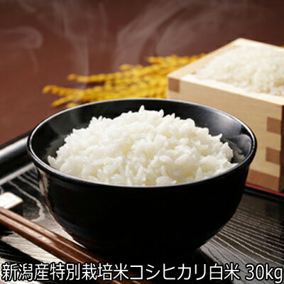 令和5年産 新潟県特別栽培米 コシヒカリ白米 30kgを10kg×3袋にて発送 【玄米からの精米 27kg〜28kg発送】 【白米 30kg 送料無料】 農薬節減（7割減） 有機肥料栽培米・残留農薬ゼロ（検査済）安心安全米 食味ランクS