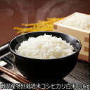 令和6年産 新潟産特別栽培米コシヒカリ 白米 10kg 農薬節減(7割減) 食味Sランク 一等米 有機肥料栽培米・残留農薬ゼロ(検査済)10kgクラフト米袋で発...