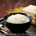 令和5年産 新潟産特別栽培米コシヒカリ 白米 10kg 農薬節減（7割減） 有機肥料栽培米・残留農薬ゼロ（検査済）　　　送料無料 一等級 魚沼産 も超える美味しさ