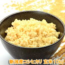 令和5年産 新潟産 コシヒカリ 玄米 10kg 送料無料　栽培期間中の化学農薬はほぼ不使用　農薬節減（7割減） 有機肥料栽培米・残留農薬ゼロ（検査済）【産地直送】新潟玄米