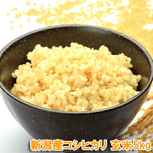 令和3年産 新潟コシヒカリ 5kg 玄米 送料無料　【産地直送】 新潟玄米 農薬節減（7割減） 有機肥料栽培米・残留農薬ゼロ（2021年版は10月頃検査して更新です） こしひかり