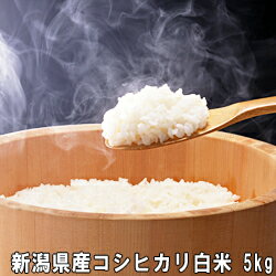 令和5年産 新潟産 コシヒカリ 5kg 白米 送料無料白米　お取り寄せこしひかり　農薬節減（7割減） 有機肥料栽培米・残留農薬ゼロ（検査済）