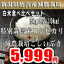 令和5年産 新潟産特別栽培米コシヒカリ・こしいぶき 白米 5kgセット×2（10kg)の詰め合わせセット 一等米 新米コシヒカリ 農薬節減（7割減） 有機肥料栽培米・残留農薬ゼロ（検査済） 2