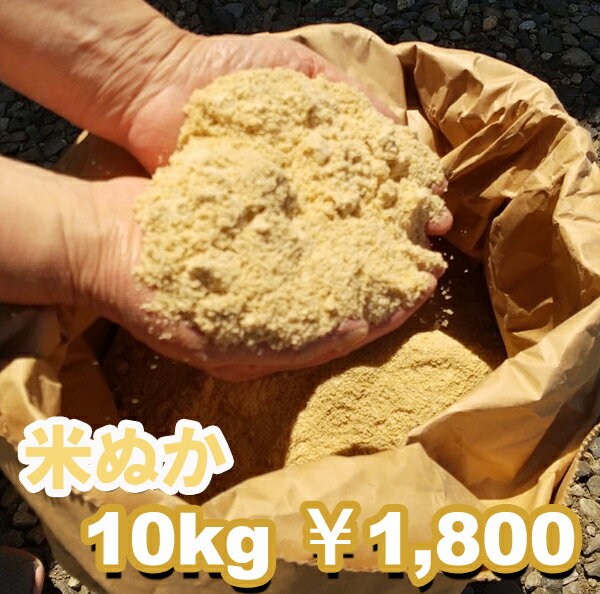 令和5年産 生ぬか 米ぬか 10kg 新潟県産 こしいぶき・特別栽培こしひかりの米ぬか 国産米原料 ぬか石鹸 ぬか漬け 家庭菜園 畑 肥料 釣餌 業務用などに 送料無料