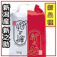 新米 令和7年産 新潟県産 新之助 玄米 5kg 【送料無料】1等米 新品種 米どころ「新...