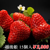 【母の日 ギフト】新潟産 いちご 越後姫 15個【400〜480g】 2L〜3Lサイズ イチゴ ...