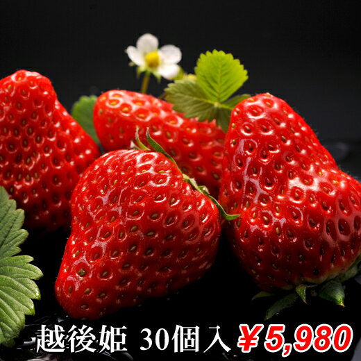 【ふるさと納税】 特別賞受賞！選べる完熟冷凍いちごBabyBerryFarm いちご 1kg 送料無料 国産 完熟 スムージー ジャム ヨーグルト 一口サイズ イチゴ 完熟 紅ほっぺ 苺 果物 フルーツ 静岡 冷凍 BabyBerryFarm