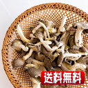 岩手県産露地栽培乾燥 Oyster Mushroom（ひらたけ） 140g(全国一律・送料無料・同梱、代引不可・クリックポスト配送)