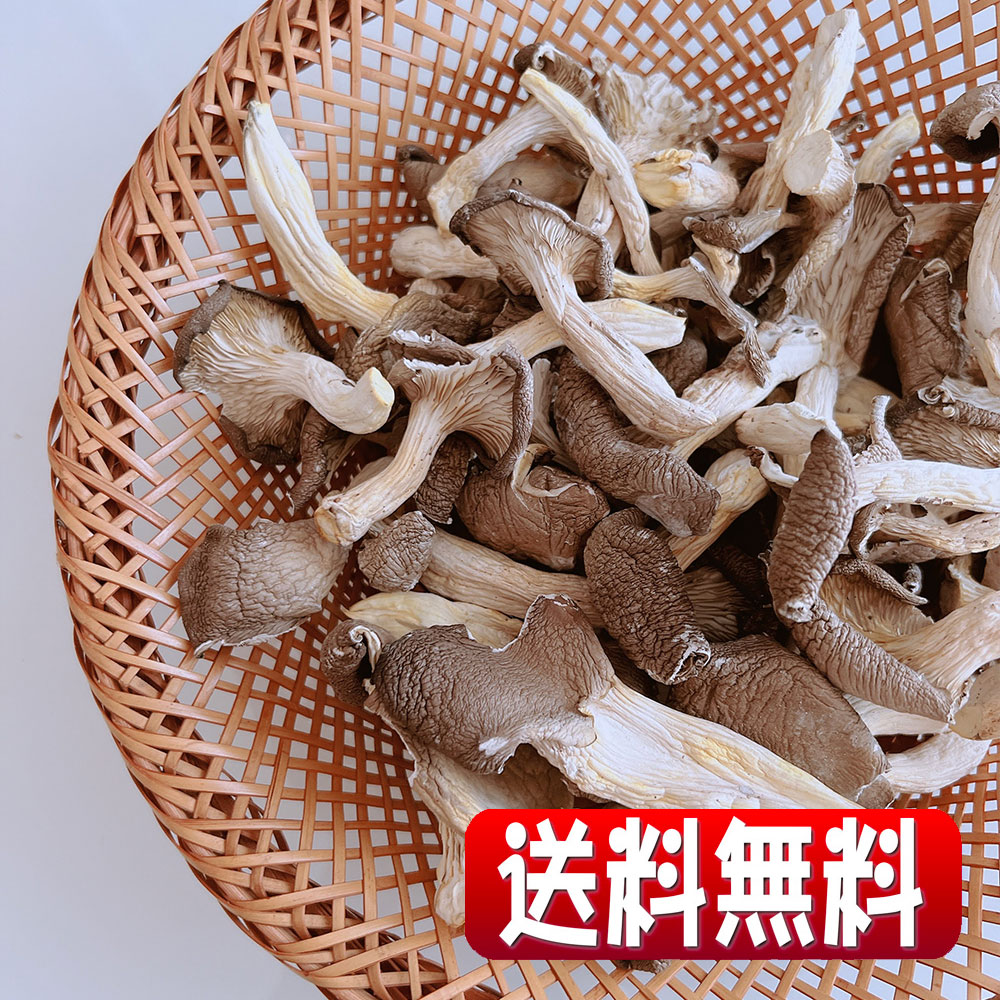 岩手県産露地栽培乾燥 Oyster Mushroom（ひらたけ） 70g(全国一律・送料無料・同梱、代引不可・クリックポスト配送)