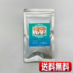 世界三大きのこの一つ。高級食材イタリア産乾燥ポルチーニ粉末40g(全国一律・送料無料・同梱、代引不可・クリックポスト配送)