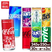 コカ・コーラ ドリンク 爽健美茶 アクエリアス コカ・コーラ ファンタ リアルゴールド 250ml 缶 30本入り×3ケース
