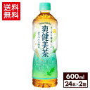 コカ・コーラ 爽健美茶 600ml ペットボトル 24本入り×2ケース【送料無料】