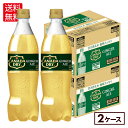 コカ・コーラ カナダドライ ジンジャーエール 700ml ペットボトル 20本入り×2ケース【送料無料】