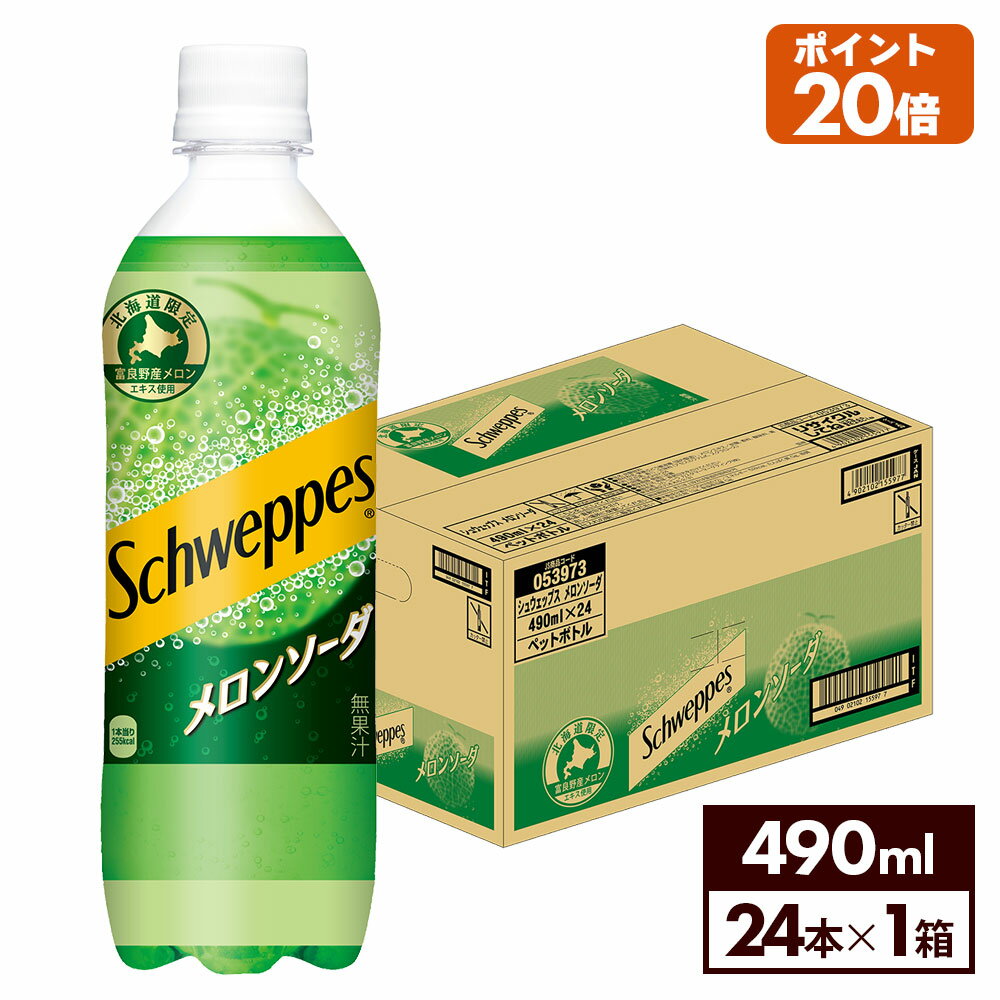 コカ・コーラ シュウェップス メロンソーダ 490ml ペットボトル 24本