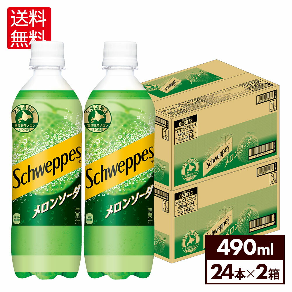 コカ・コーラ シュウェップス メロンソーダ 490ml ペットボトル 24本入り×2ケース【送料無料】