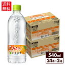 【いろはす10％OFFクーポン 4/29 23:59まで】コカ コーラ い ろ は す みかん 540ml ペットボトル 24本入り×2ケース【送料無料】