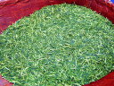 まろやかな味わい !近江のかりがね 【茎茶】お徳用500g