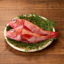 えりも産きんき めんめ 選べる2尾or4尾 キンキ キチジ 吉次 高級魚 鮮魚 焼き魚 煮魚 魚 御歳暮 お歳暮 贈答用 御祝 プレゼント ギフト 記念日 北海道グルメ 北海道産