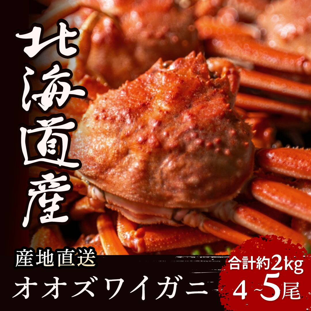 北海道産 オオズワイガニ 姿 2kg 4-5尾/ 大ズワイ 大ズワイガニ ズワイガニ ズワイ 蟹 かに カニ味噌 魚介類 魚介 海鮮 海の幸 海産物 大容量 一杯 国産 北海道 えりも町