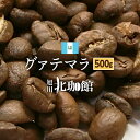 グァテマラ アルト・デ・メディナ農園 SHB　500gお得用/250g×2袋/コーヒー豆