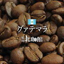 グァテマラ アルト・デ・メディナ農園 SHB　100g/コーヒー豆/ネコポス(メール便)全国一律送料200円