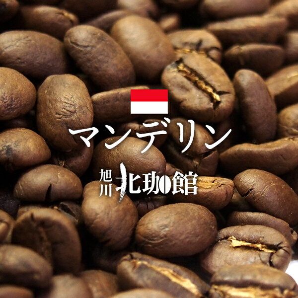 ޥǥG1ɥ󥰥