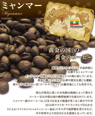 ミャンマー アラビカ　星山(せいざん) コーヒー豆