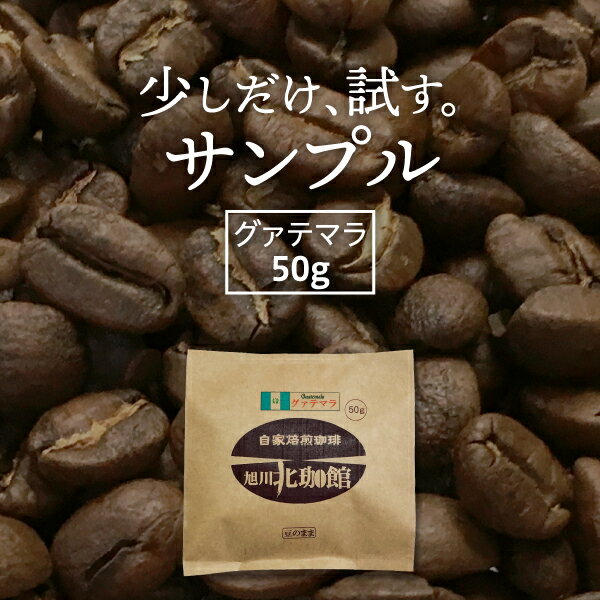 【休止中】お試しサンプルコーヒー豆50g　グァテマラSHB【自家焙煎珈琲】