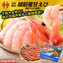 年内在庫残りわずか！ 甘エビ 甘えび 特大 子持ち 卵 刺身 内容量選択 500g 1kg 冷凍 越前甘エビ 福井県 福井県産 産地直送 送料無料 お歳暮 ギフト 年末 年始 ごちそう 食べ物 お正月 グルメ