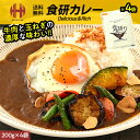 日本食研カレー 内容量選択 200g×1袋 200g×4袋 中辛口 日本食研 カレー ビーフカレー レトルト レトルトカレー