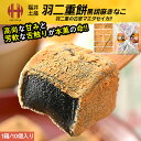羽二重餅 はぶたえ 餅 もち 黒胡麻きなこ 黒胡麻きな粉 10個入り 羽二重風呂敷 福井 お土産 ギフト スイーツ お菓子