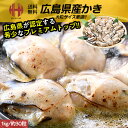 かき カキ 牡蠣 むき身 2Lサイズ 1kg 約30粒前後 冷凍 特大 広島県産 極鮮王 加熱用 ギフト