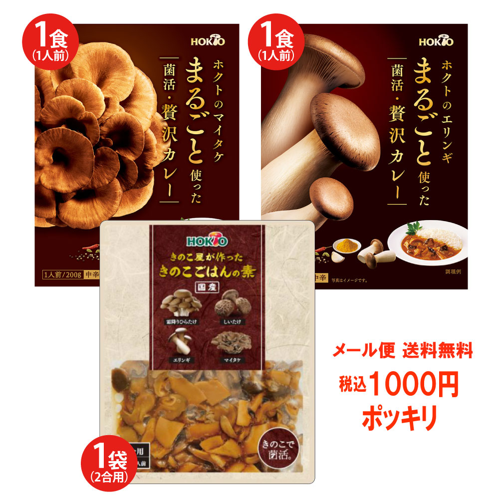 【1000円ポッキリ】1000円お試しセット (3種3品) 送料無料 ( ホクト レトルト 食品 詰め合わせ 詰め合せ レトルトカレー セット カレーレトルト きのこカレー エリンギカレー 舞茸 炊き込みご飯の素 )