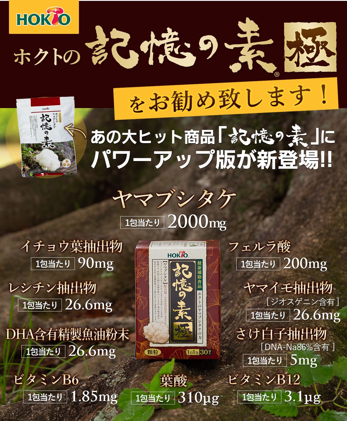 【2箱まとめ買い】記憶の素 極 (きわみ) (1箱30包入) 60日目安 送料無料 ( 顆粒 山伏茸 ヤマブシダケ ヤマブシ茸 やまぶしたけ きのこ キノコ ヤマブシタケ ギフト 健康食品・サプリメント 菌活 サプリ 顆粒 βグルカン 猴頭 ） 3