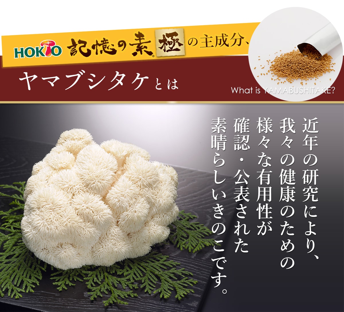 【初回限定お試し】記憶の素極(きわみ)7包(7日目安)DM便送料無料(お試しサンプルトライアルセット山伏茸ヤマブシ茸やまぶしたけキノコきのこ菌活健康食品サプリメントサプリ顆粒ワンコインβグルカン猴頭ギフトポイント消化)