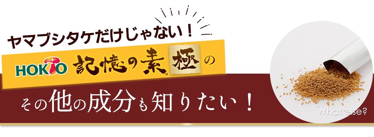 【初回限定お試し】記憶の素極(きわみ)7包(7日目安)DM便送料無料(お試しサンプルトライアルセット山伏茸ヤマブシ茸やまぶしたけキノコきのこ菌活健康食品サプリメントサプリ顆粒ワンコインβグルカン猴頭ギフトポイント消化)