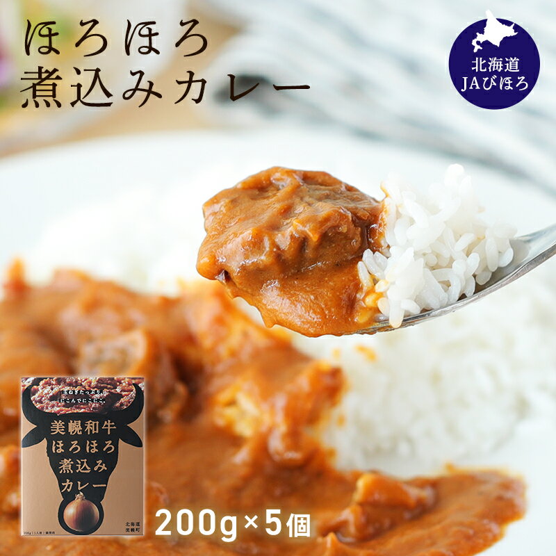 美幌和牛 ほろほろ煮込みカレー 1食(200g)×5個 美幌