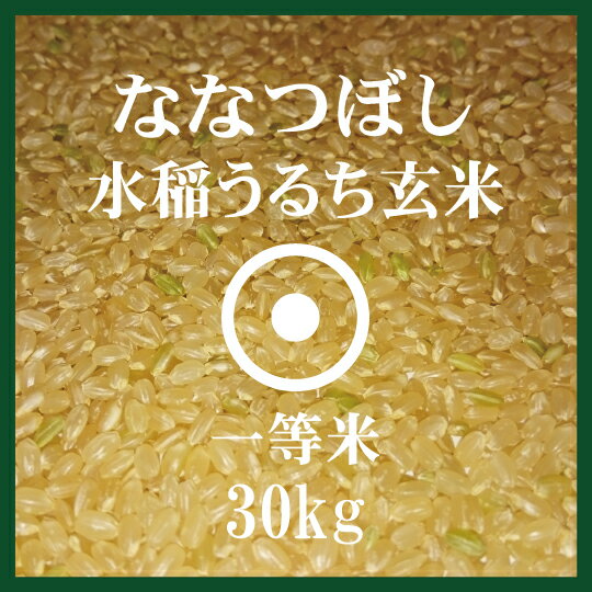 【楽天市場】ななつぼし 玄米 30Kg 送料無料 1等米 北海道米 29年産 食味ランキング 特A受賞：ほくべい