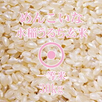 めんこいな玄米30Kg秋田県産2018年産