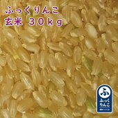 ふっくりんこ玄米３０Kg産地サミット品１等米2018年産北海道米