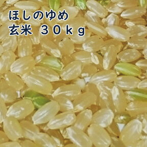 北海道産 ほしのゆめ 玄米 30kg 令和5年産 1等米 [重量商品につき送料無料対象外]