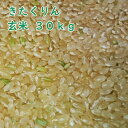 北海道産 きたくりん 玄米 30kg 農薬