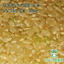 高度クリーン米 北海道産 ななつぼし 玄米 30Kg 玄米 30kg（減農薬・減化学肥料）特別栽培米 令和5年産 一等米 JA新すながわ カエル倶楽部 [重量商品につき送料無料対象外]